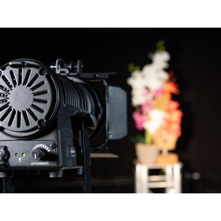 Eurolite - AKKU THA-20PC TRC Theater-Spot bk