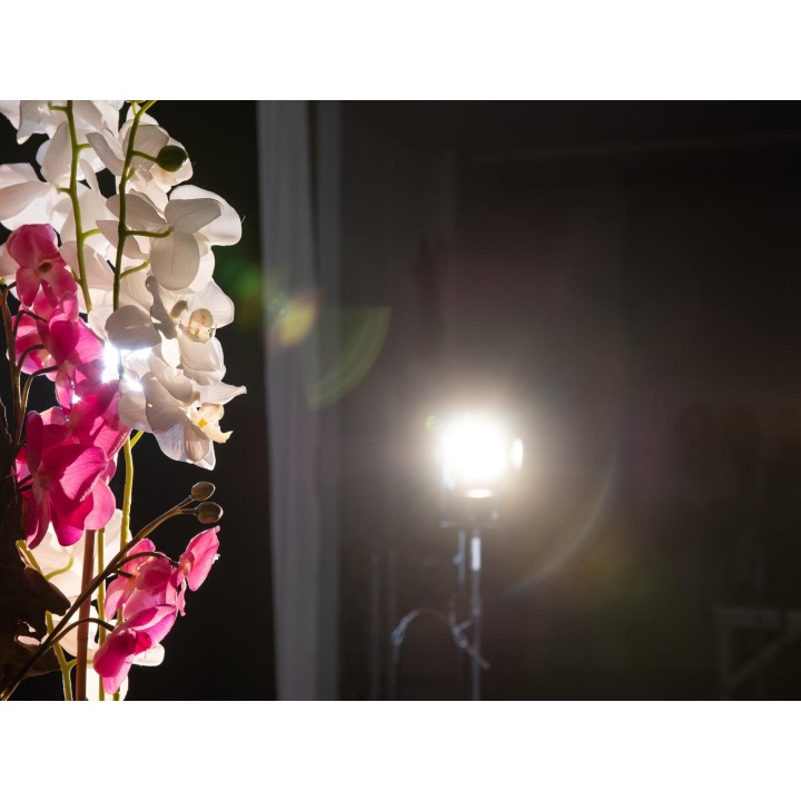 Eurolite - AKKU THA-20PC TRC Theater-Spot bk