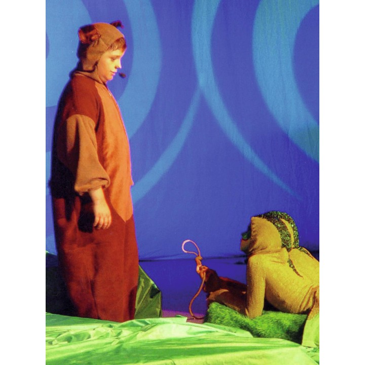 Eurolite - PAR-64 Spot Long with Plug sil