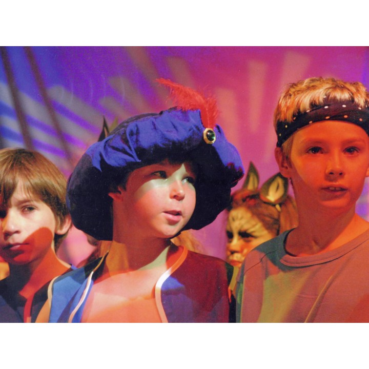 Eurolite - PAR-64 Spot Long with Plug sil