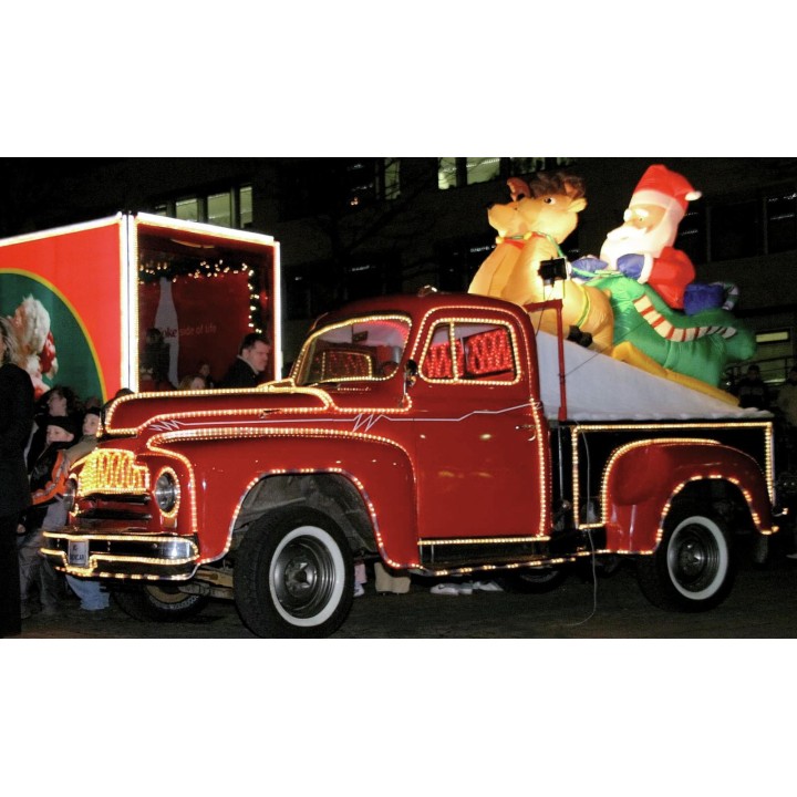 Eurolite - RUBBERLIGHT RL1-230V blue 44m