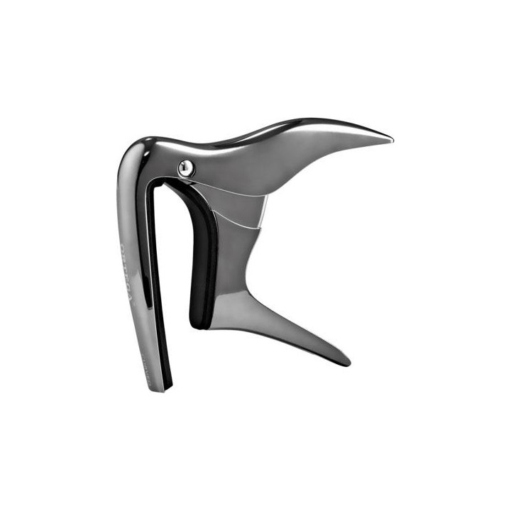 Ortega - OCAPOCV-BCR