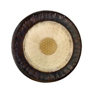 Sonic Energy - G36-FOL