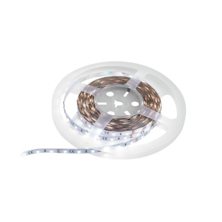 Eurolite - LED Strip 300 5m 3528 5700K 12V