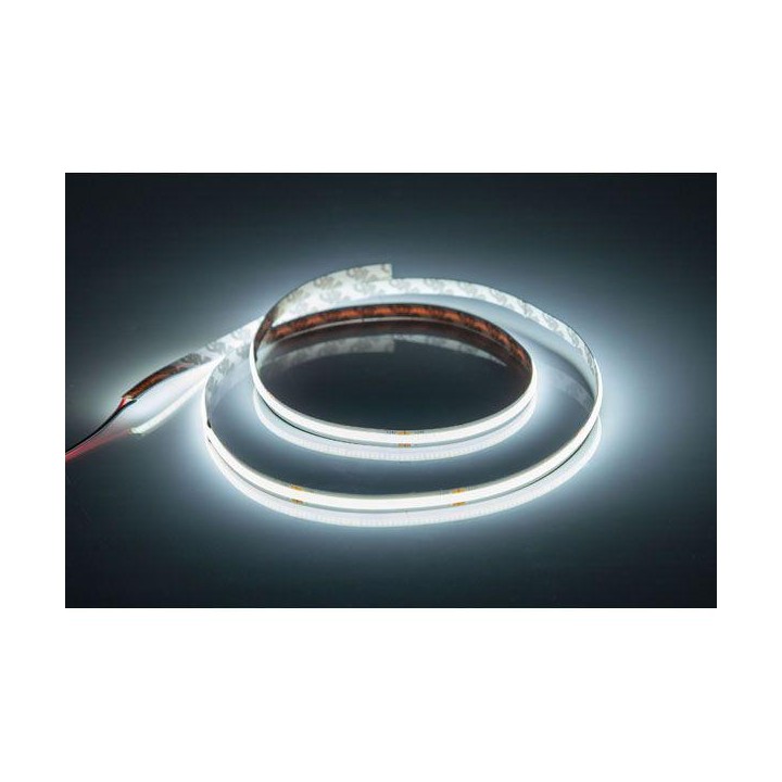 Artecta - Havana Halo