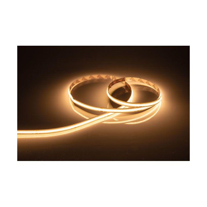 Artecta - Havana Halo