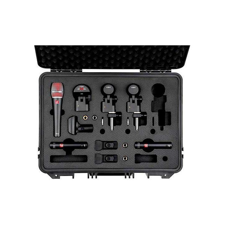 SE Electronics - V-PACK ARENA