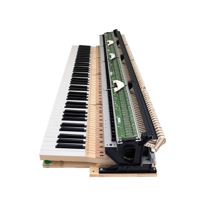 Casio - CELVIANO GRAND HYBRID GP-310WE