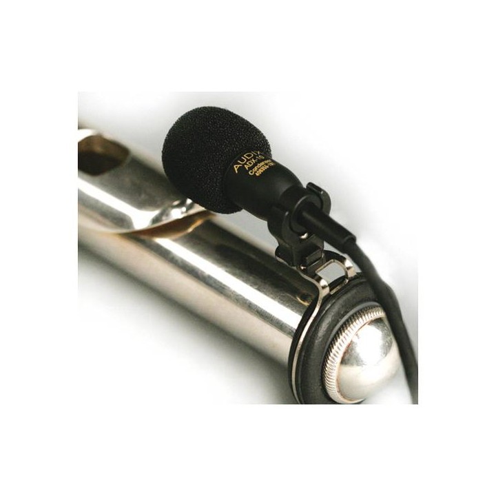 Audix - ADX10-FL