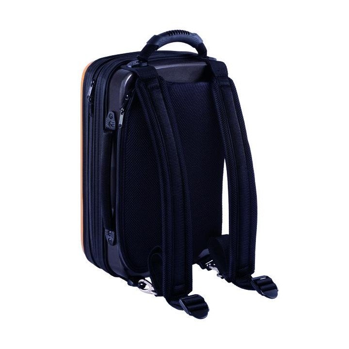 Bags - 2 CLARINETES
