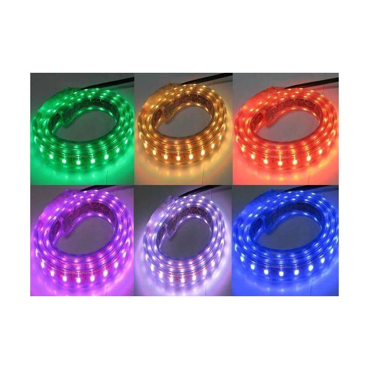 Z-B - Tira Led 220v RGB - 5 metros - 220V LED Strip  | Z-Bombilla