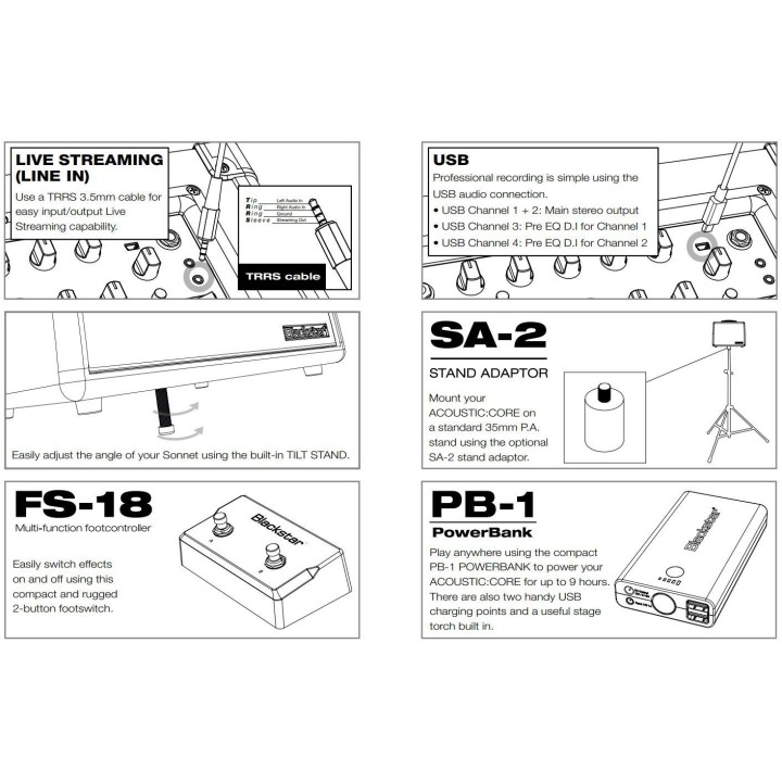 Blackstar - ACOUSTIC CORE 30