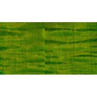 PRS GUITARS - CUSTOM 24 PIEZO ERIZA VERDE