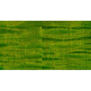 PRS GUITARS - MCCARTY 594 ERIZA VERDE