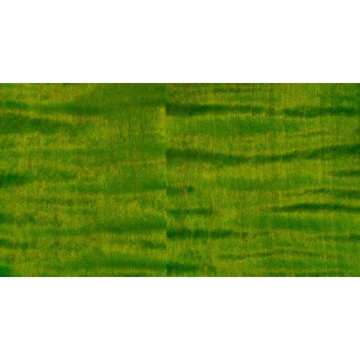 PRS GUITARS - MCCARTY 594 ERIZA VERDE