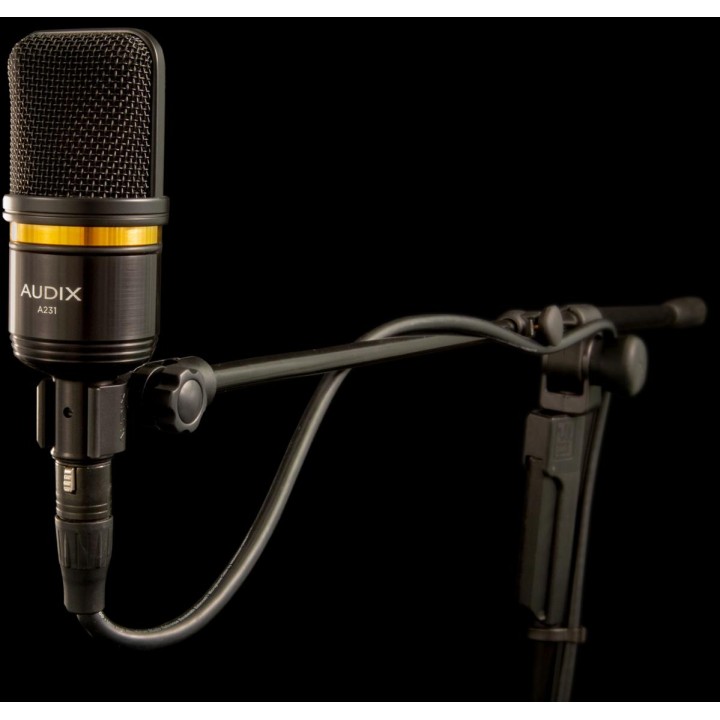 Audix - A231