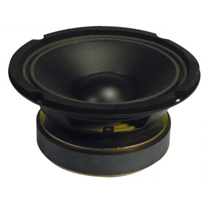 Skytec - Woofer HI-FI cono PP con borde de gomaespuma, 16cm (6.5), 100W rms, 8 Ohm - Cone / Speaker 6" | Z-Bombilla