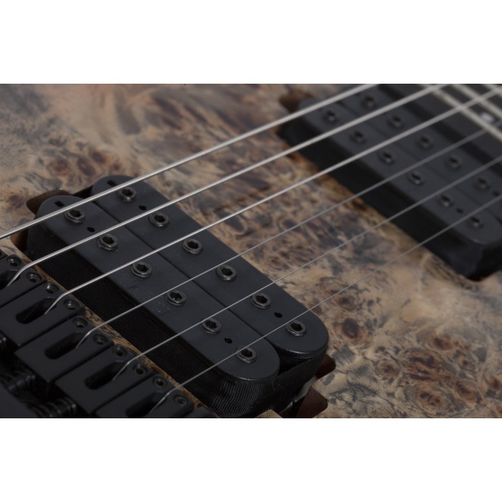 Schecter - C-6 PRO  ARB