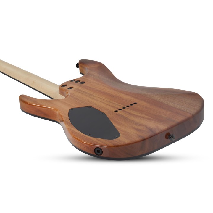 Schecter - C-6 PRO  ARB