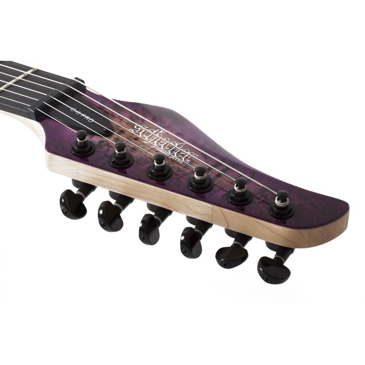 Schecter - C-6 PRO  ARB