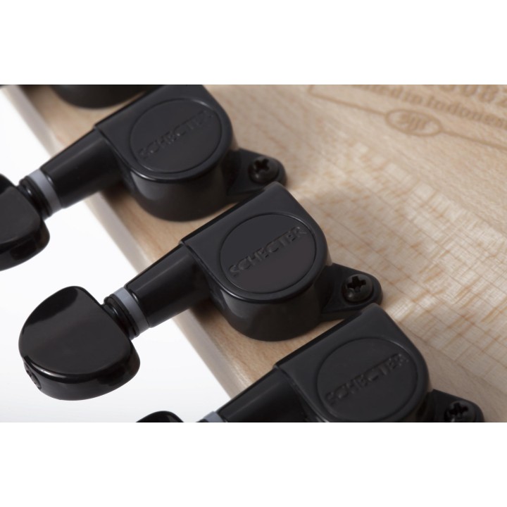 Schecter - C-6 PRO  ARB