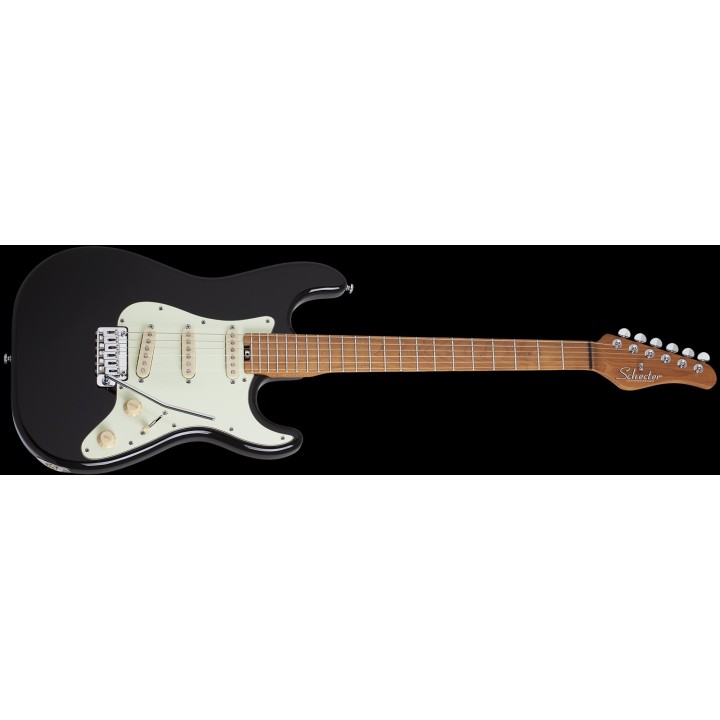 Schecter - NICK JOHNSTON TRAD SSS A. INK