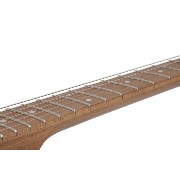 Schecter - PT VAN NUYS G.NAT ASH GNA