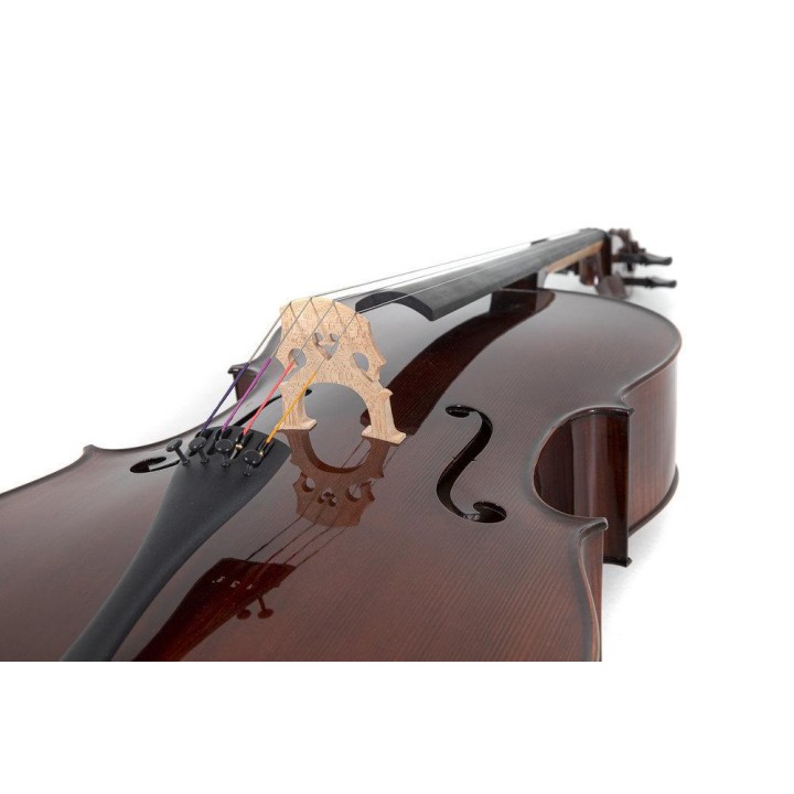 Gewa - GS403.060.100