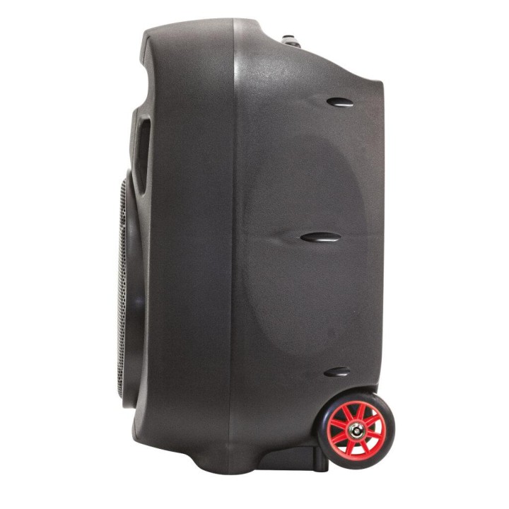 Ibiza Sound - PORT15UHF-MKII