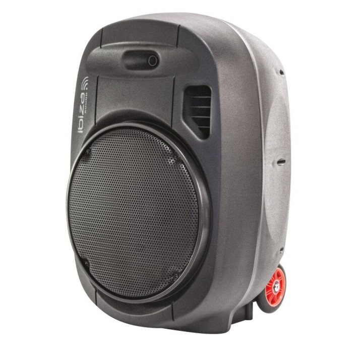 Ibiza Sound - PORT15UHF-MKII