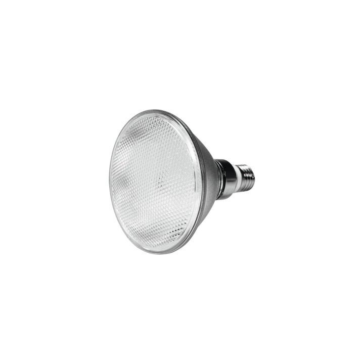 Omnilux - PAR-38 230V SMD 18W E-27 46 LEDs UV