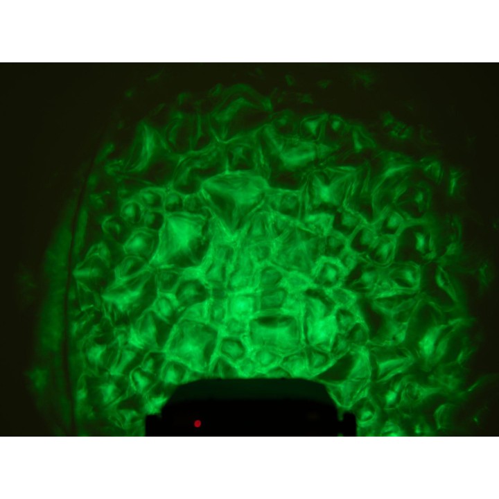 Eurolite - LED WF-30 Water Effect