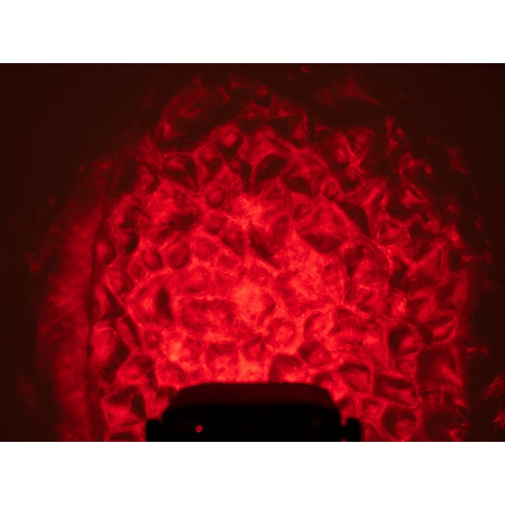 Eurolite - LED WF-30 Water Effect