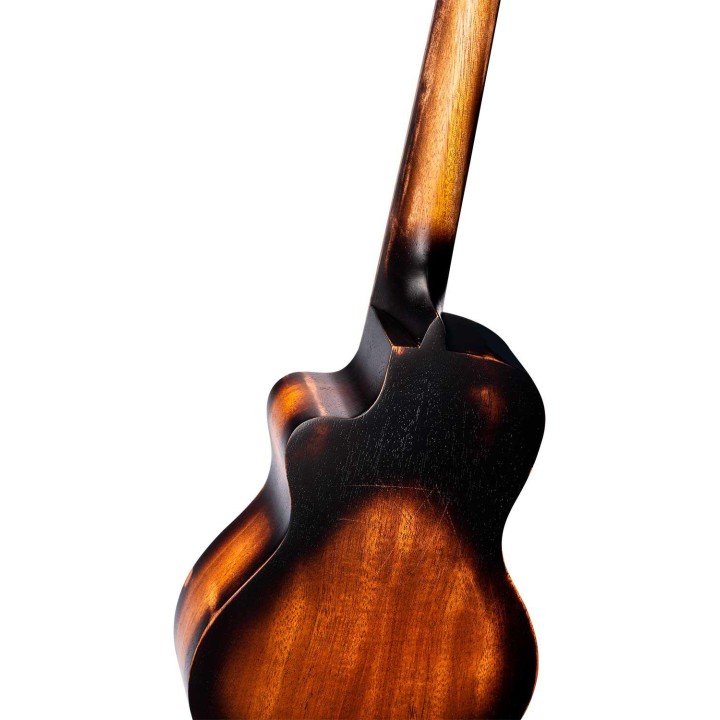 Ortega - DSSUITE-UKE