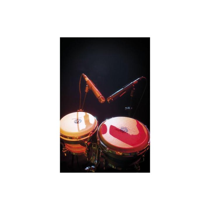 Dap Audio - PL-07 - Micròfon d'Instrument | Z-Bombilla