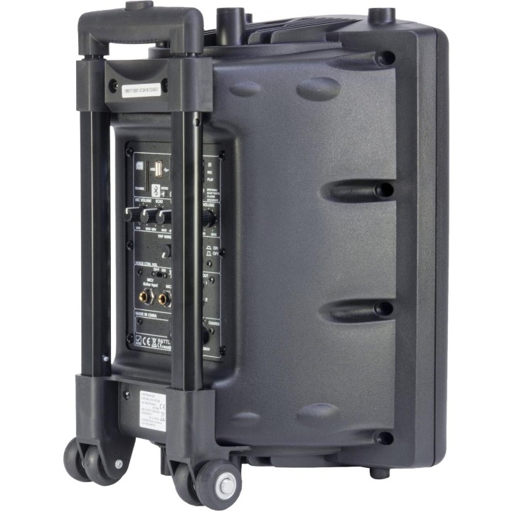 Ibiza Sound - PORT10UHF-BT