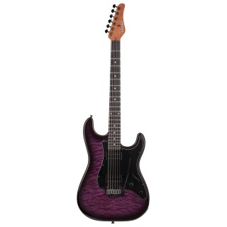 Schecter - TRAD PRO-EBONY TPB
