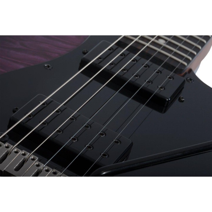 Schecter - TRAD PRO-EBONY TPB