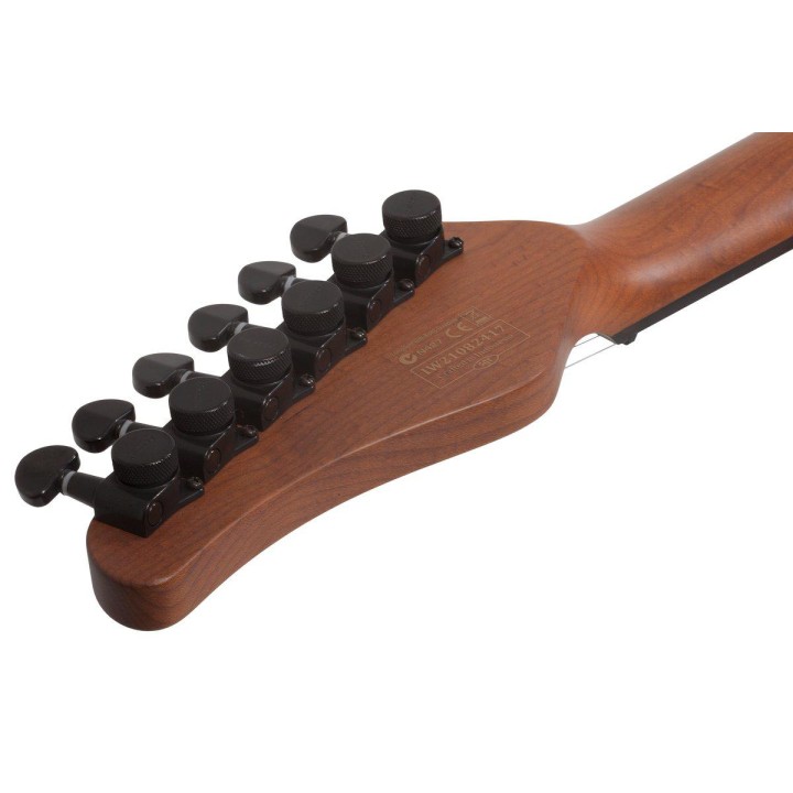 Schecter - TRAD PRO-EBONY TPB