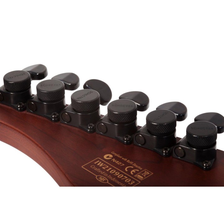 Schecter - TRAD PRO-MAPLE TBLB