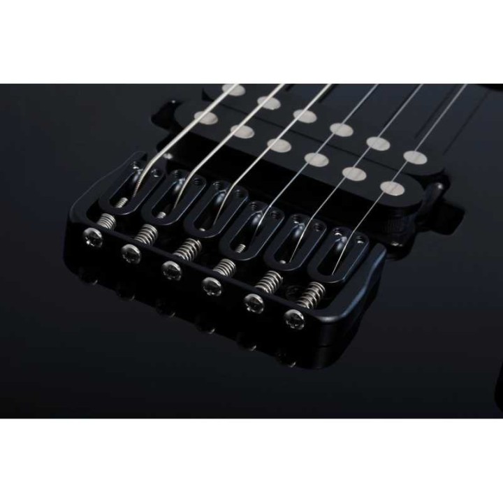 Schecter - REAPER-6 CUSTOM G.BLK