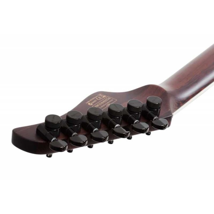 Schecter - REAPER-6 CUSTOM G.BLK