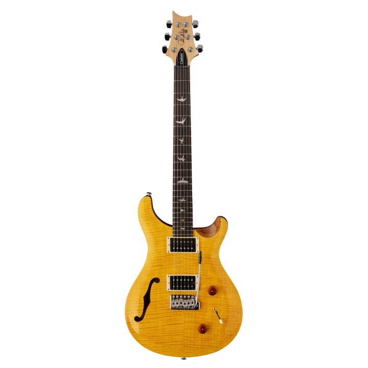 PRS GUITARS - SE CUSTOM 22 SEMI-HOLLOW 