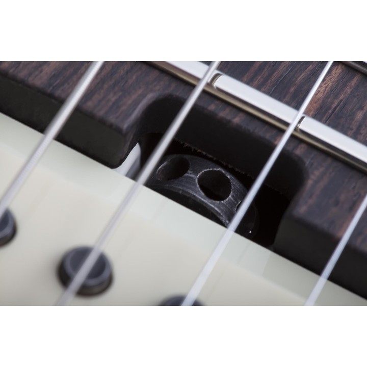 Schecter - NICK J. USA WEMBLEY SSS A. FROST