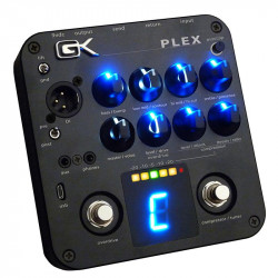 GALLIEN KRUEGER - PLEX 1