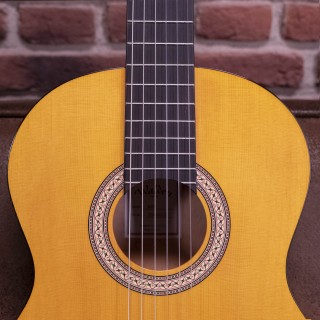 WALDEN - WAN350W STANDARD 300