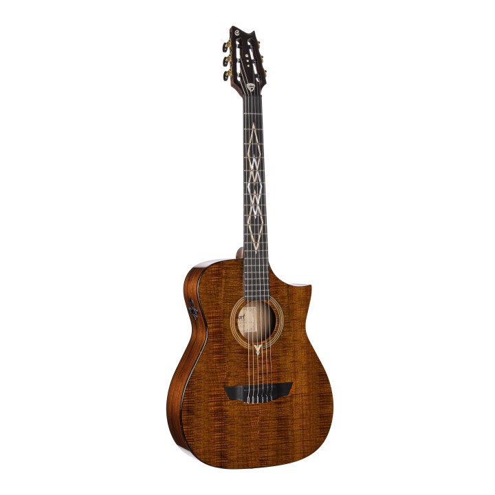 Cort - FRANK GAMBALE LUXE NYLON BR W/CASE