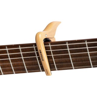 Ortega - OCAPOCV-MAD