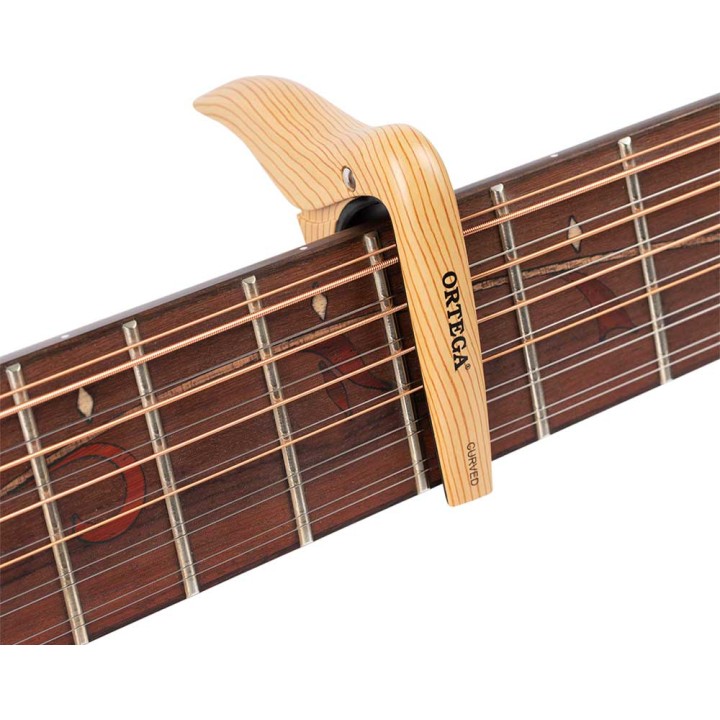 Ortega - OCAPOCV-MAD