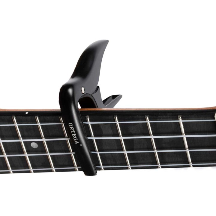 Ortega - OCAPOUKE-SBK